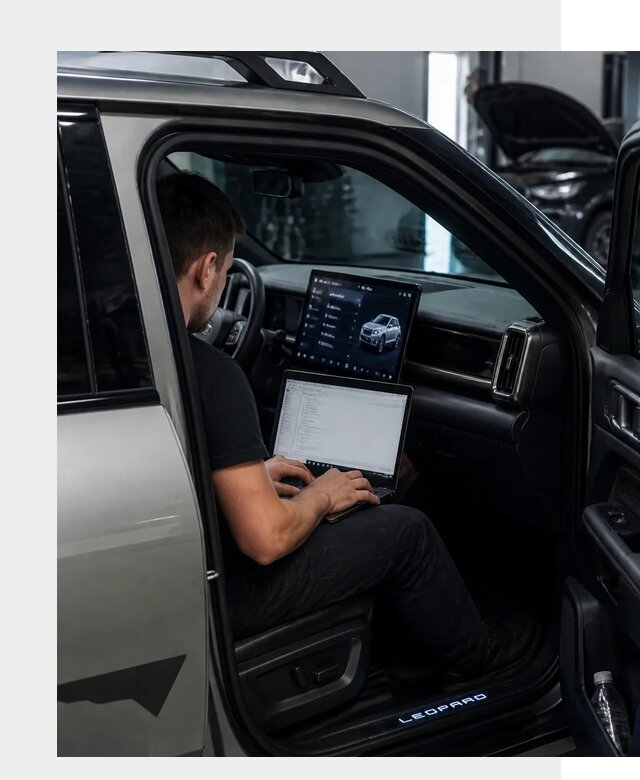 Русификация BYD Leopard 3 в Темрюке по цене от 20483 р. | ФастМобиль-Тмр